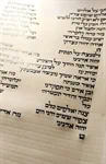 ספר תהילים על קלף 2
