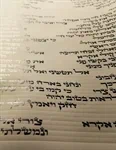 ספר תהילים על קלף 4